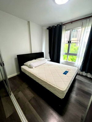Condos for rent Khlong Luang Road : For rent dcondo campus resort rangsit 