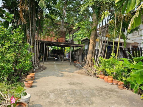 ขายที่ดินสุขุมวิท 64 บางจาก พระโขนง ที่ดิน 104 ตร.ว ถนนหน้าที่ดินกว้าง ใกล้ รถไฟฟ้า BTS ปุณณวิถี บางจาก ใกล้ทางด่วนสุขุมวิท 62 087-9074045