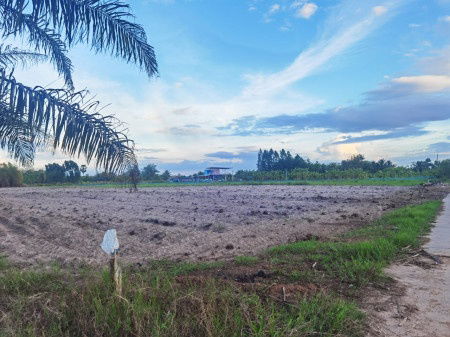 ขายที่ดิน : ขาย ที่ดิน ME127 แปลงเล็ก ราคาถูก สูงเสมอถนน หน้ากว้าง 50 เมตร วัดสุวรรณ บ่อทอง ชลบุรี 5 ไร่ 35 ตร.วา ไฟฟ้า ปะปา ครบ อากาศดี มีเพื่อนบ้าน