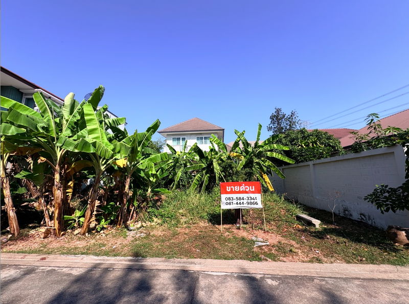 ขายที่ดิน : ขายด่วน ที่ดิน หมู่บ้านปัญจทรัพย์พาร์ค ติดถนนบรมราชชนนี แปลงสวย สำหรับปลูกบ้าน