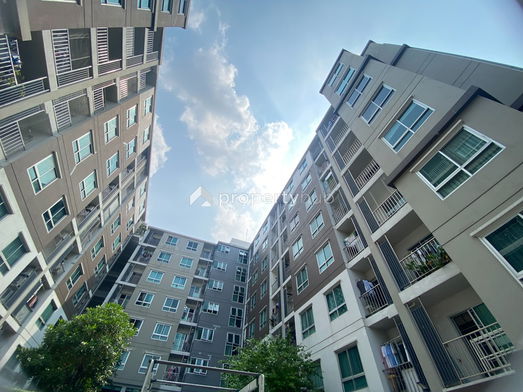 รูป The Viva Condo Petchkasem 68 - รูปที่ 2/21