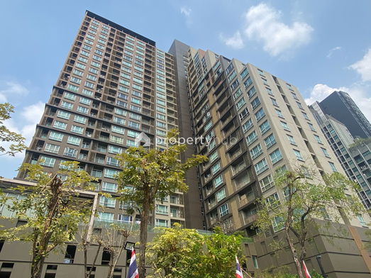 Project Hive Taksin Picture - 2/15