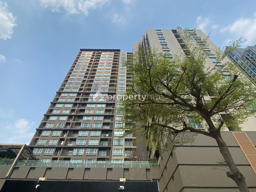 Project Hive Taksin Picture - 4/15