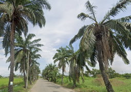 Supalai Grand Lake - Image 4/4