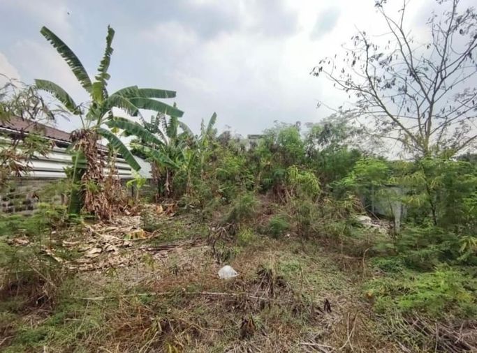 ขายที่ดิน 99 ตร.ว. เขตหนองแขม