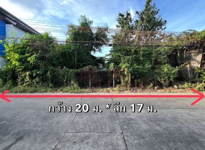 ขายที่ดิน 85 ตร.ว. เขตบางขุนเทียน