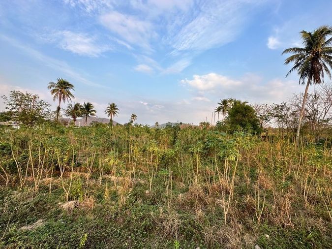 ขายที่ดินเขาคันทรง ศรีราชา แปลงสวย ทำเลดี เขตพัฒนาอุตสหกรรม