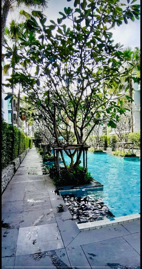 รูป The Title Rawai For Sell WR-03011 - รูปที่ 6/7