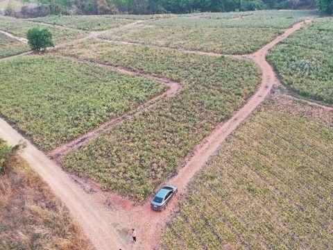 Land for sale, Ban Sadet, Lampang, 31 Rai 20 Sq.w., near Ban Sadet Police Station (ID:256LS)