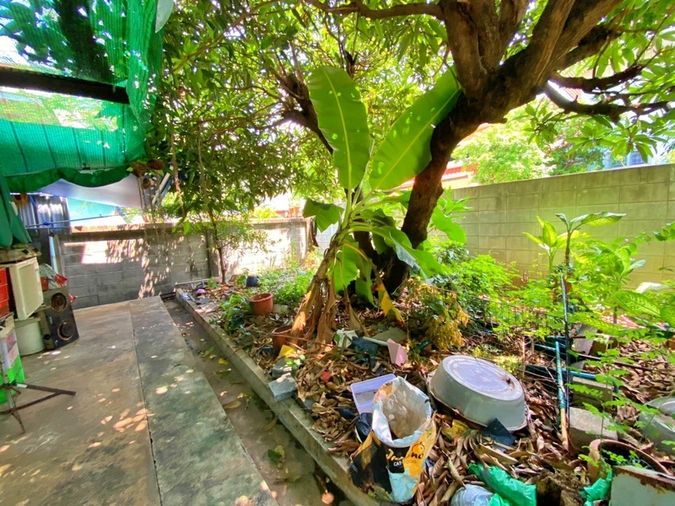 6-bed house for sale, 100 sqm, 120 sq wah, Chatuchak