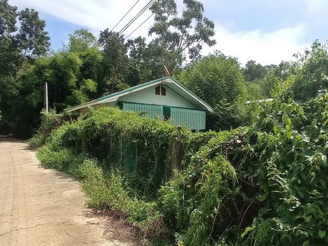 A4-0071 ขายที่ดินพร้อมสิ่งปลูกสร้าง ตำบลหัวขวาง อำเภอโกสุมพิสัย มหาสารคาม (โปรโมชั่นจนถึงวันที่ 31 พฤษภาคม 2568)