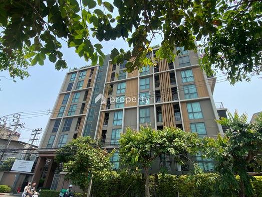 Project Chambers chaan Picture - 2/15