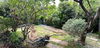listing thumbnail image 18