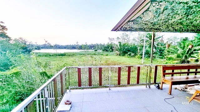 picture SuratThani Inter Airport 15mins AIRBNB BigC Very Peaceful for rent raised Mansion 3rai 199sq.m. - 6/8