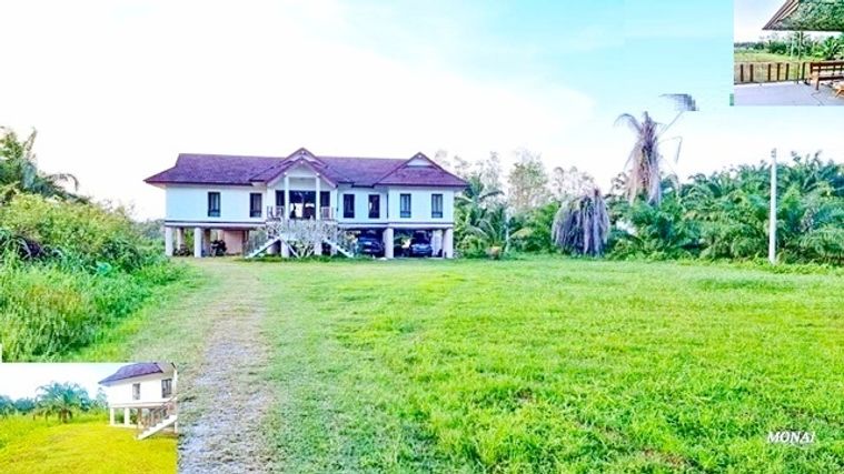 AIRBNB for rent raised Mansion 3rai 189sq.m. PhanWang Road BangPho Central SuratThani house