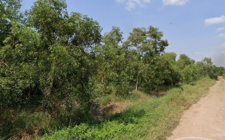 ขายที่ดิน 800 ตร.ว. เขตหนองจอก