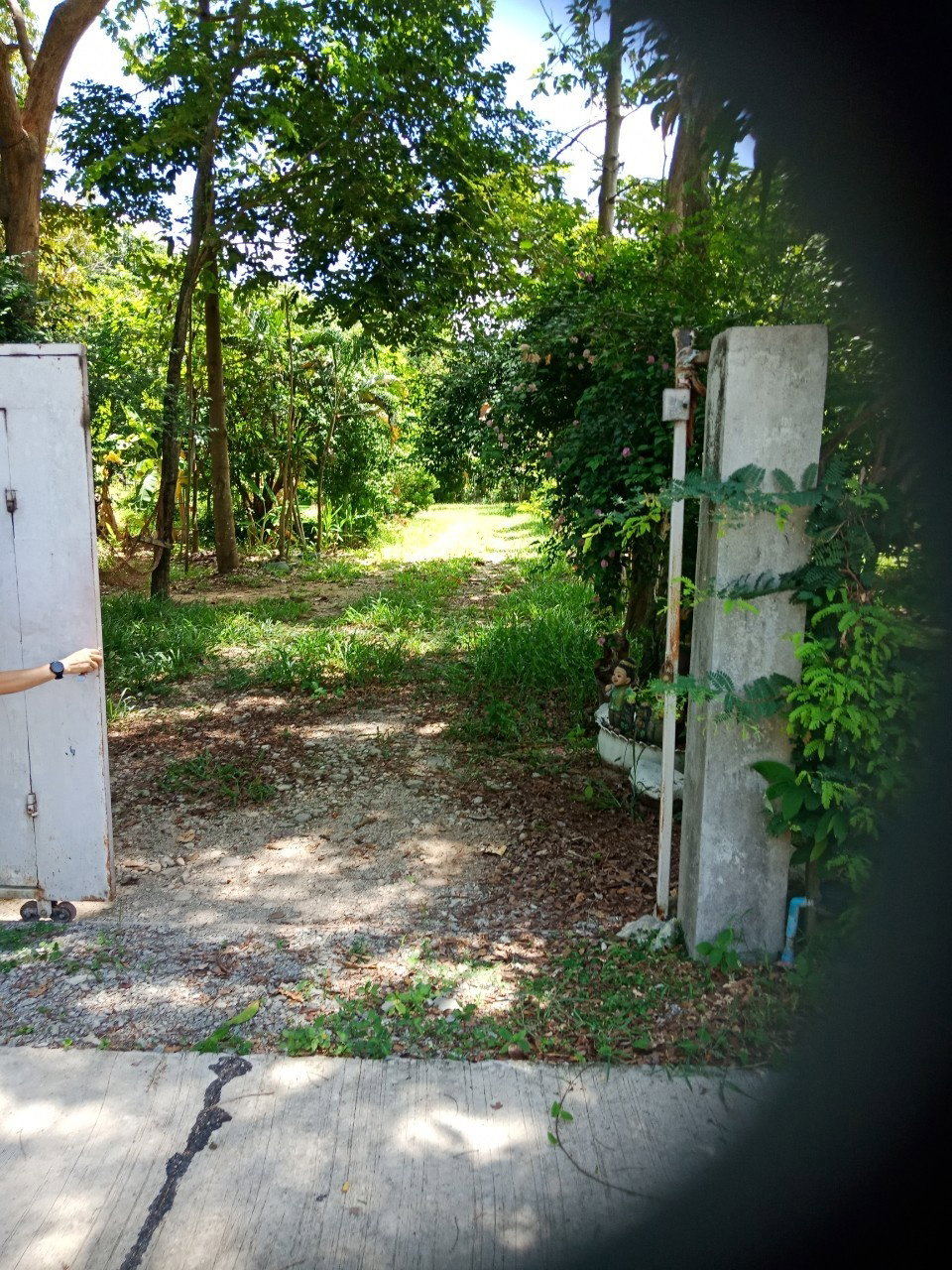 ขายที่ดินสวนผลไม้ จำนวน 1-3-42 ไร่ ต.ศรีกะอาง อ.บ้านนา จ.นครนายก