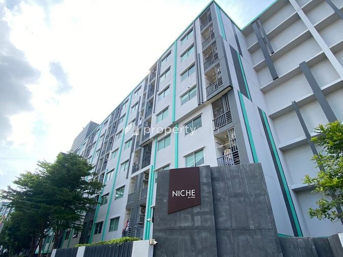 Niche id Serithai - Wongwoen