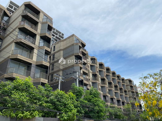 Project Than Living Picture - 4/12