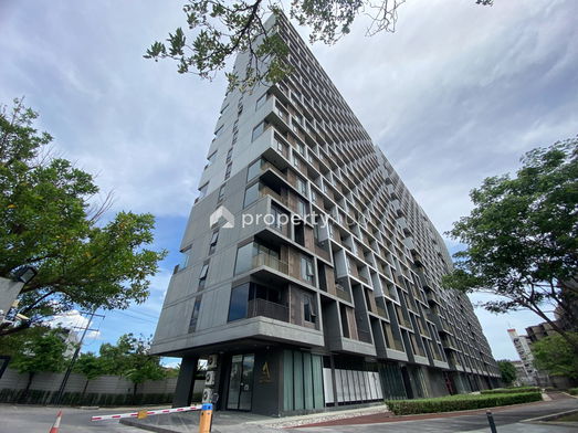 Project Than Living Picture - 2/12