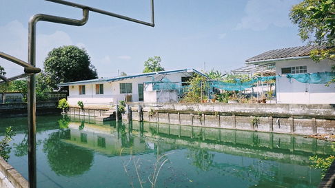 Urgent sale! 2 rai garden house, Lam Luk Ka, Khlong Sip, near Bangkok. Bought it to make a vacation home, but no time to live there. Beautiful plot, 
