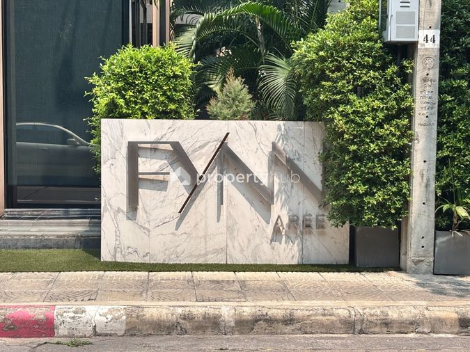 Fynn Aree
