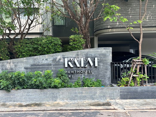 Project Kalm Penthouse Ari Picture - 3/7