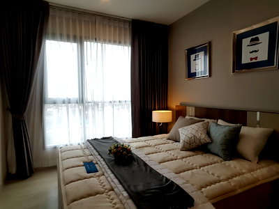 คอนโดให้เช่า : ให้เช่า Life Sukhumvit48 ราคา 23,000 บาท [NCr250422]