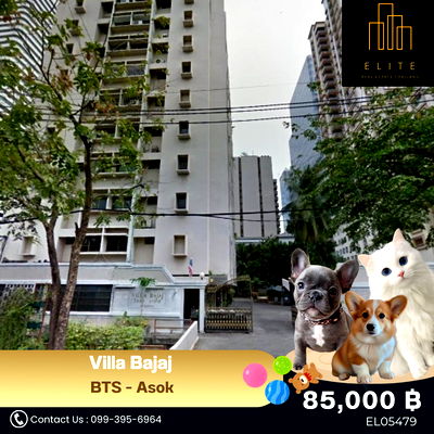 เช่าคอนโด สุขุมวิท 19 : 🐶 ว่างพร้อมเช่า “ เพื่ออยู่กับลูกๆ แบบเปิดเผย 🐱“ ลูกๆแฮปปี้คุณก็แฮปปี้ ✔