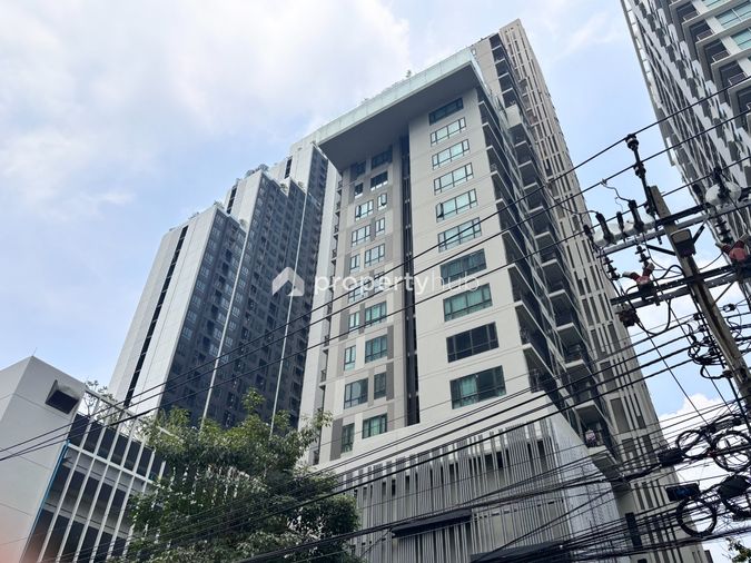 The Vertical Aree