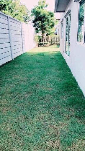3-bed house for rent, 256 sqm, 64 sq wah, CENTRO Suksawat - Rama 3