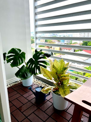 ขายคอนโด : คอนโด The Tree ลาดพร้าว- วังหิน Renovate ใหม่ทั้งหมด ราคาคุ้มค่า ใช้วัสดุมีคุณภาพ 