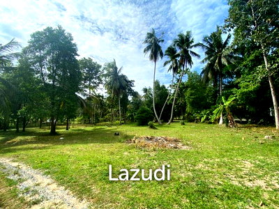 ที่ดิน สุราษฎร์ธานี : 3,000.0 ตร.ม.ที่ดินสำหรับ ขายใน ทรัพย์ทวี