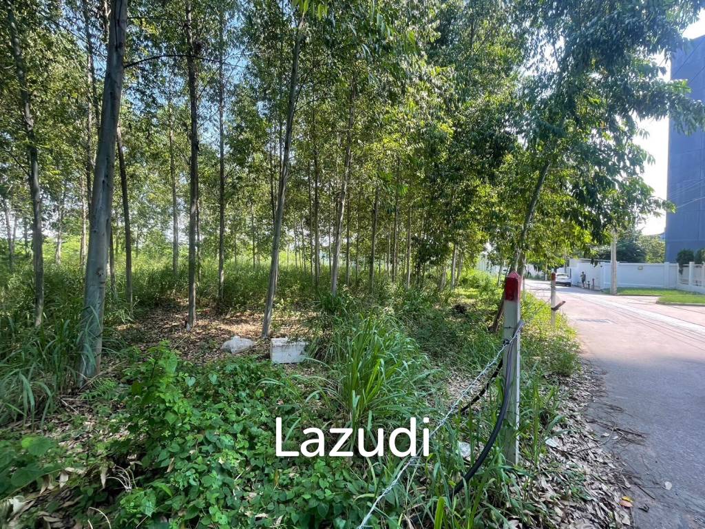 รูป 1,856 SQ.M. Land for Sale in North Pattaya - รูปที่ 6/7