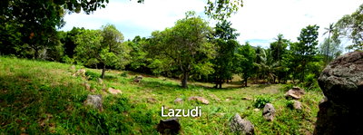 ที่ดิน สุราษฎร์ธานี : 3,200.0 ตร.ม.ที่ดินสำหรับ ขายใน บ้านใต้