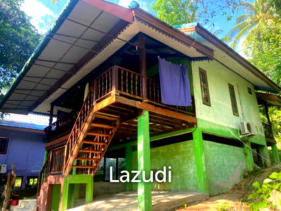 บ้านเดี่ยว สุราษฎร์ธานี : Exceptional Investment Opportunity: Two Private Thai Villas with Renovation Potential in Tang Nai Pan Area