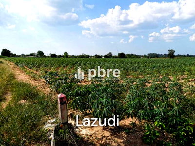 Land for sale Bang Lamung Chonburi : Land for sale in Nongmaigan