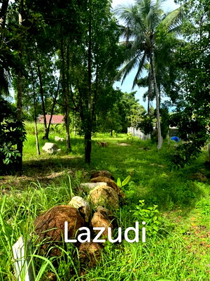 ที่ดิน สุราษฎร์ธานี : 2,160.0 ตร.ม.ที่ดินสำหรับ ขายใน เกาะพะงัน