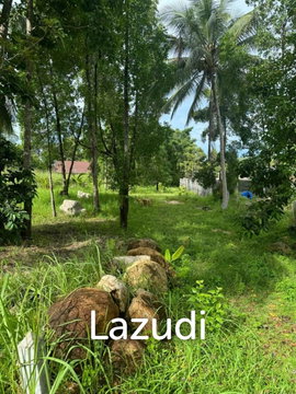 Idyllic Freehold Land in Lush Ko Pha-ngan