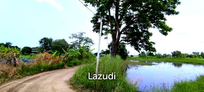 Land for sale Bang Lamung Chonburi : Land for Sale with tenant in Nong Pla Rai
