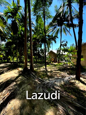 Land for sale : Prime Land for Sale in Wok Tum, Koh Phangan