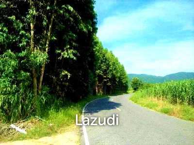 ที่ดิน วิทยาลัยเทคโนโลยีชลบุรี : ขายที่ดินแปลงสวย 16 ไร่ ถนนข้าวหลาม บางแสน