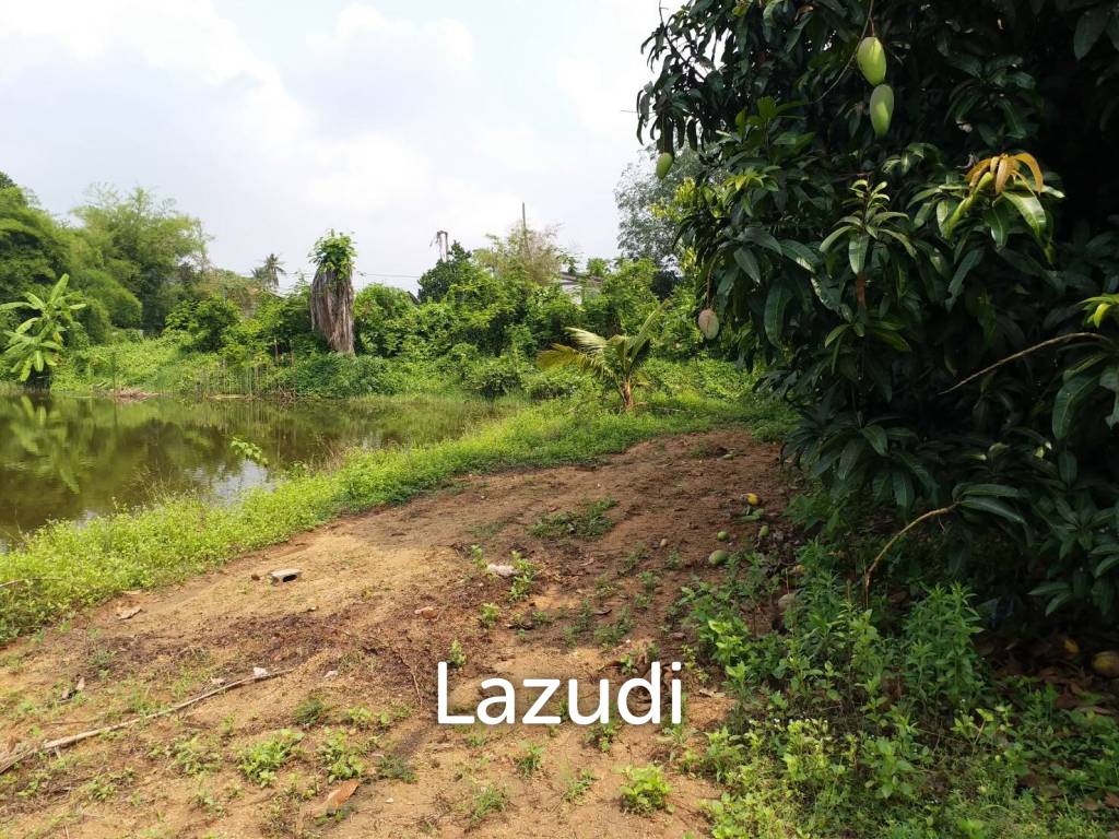 picture Land for sale in Huay Yai - 1/8