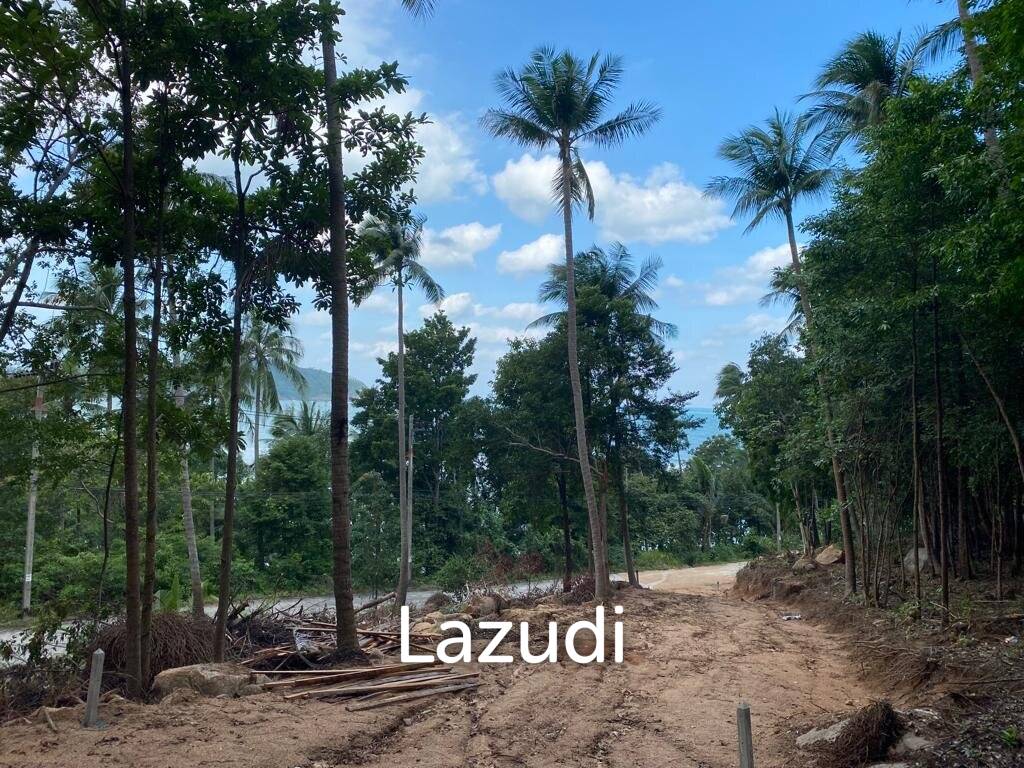 picture Seaside Serenity: Unveiling Emerald Horizon Estates – Tranquil Living with Coastal Elegance - 11/16