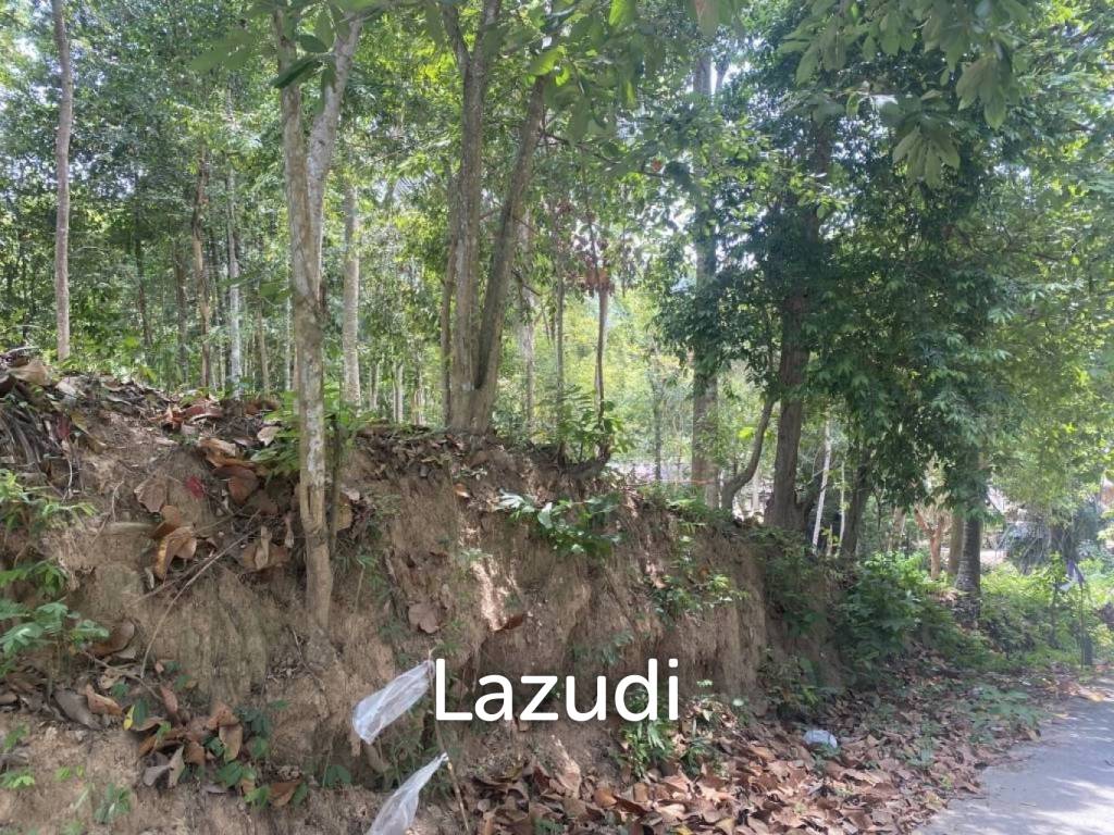 picture Riverside Bliss: 1784 Sqm Land near Elephant Sanctuary, Temple, and Waterfall in Maduwan – A Tranquil Haven with Natures Embrace - 3/11