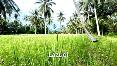 ที่ดิน สุราษฎร์ธานี : 4,800.0 ตร.ม.ที่ดินสำหรับ ขายใน เกาะพะงัน