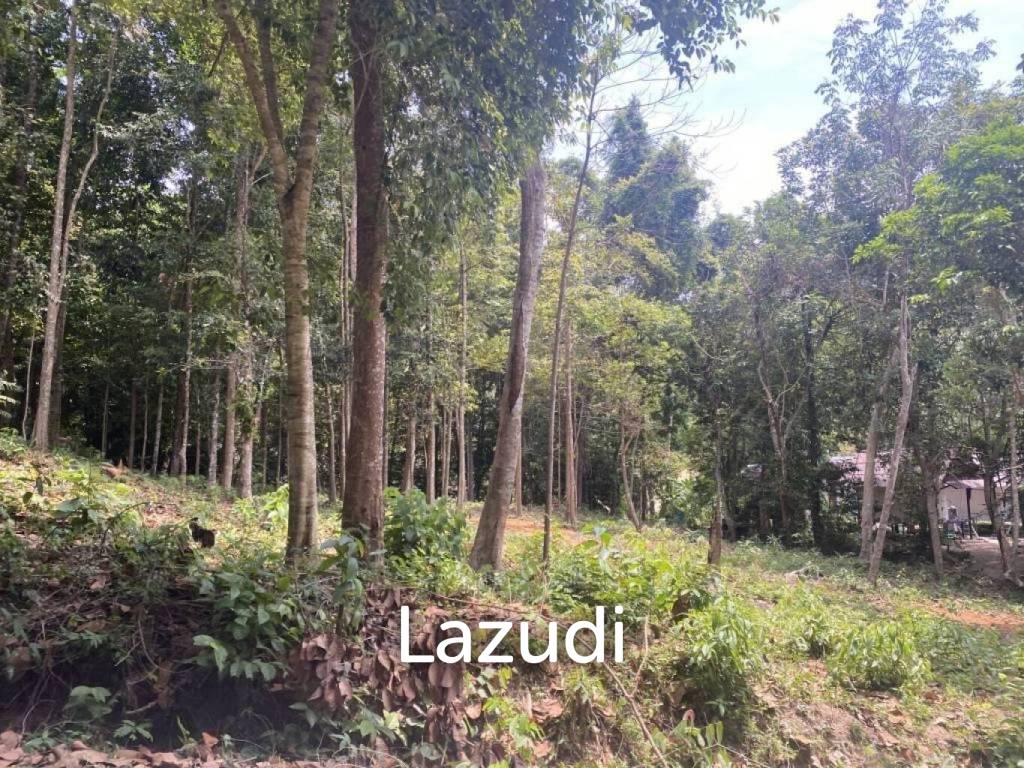 picture Riverside Bliss: 1784 Sqm Land near Elephant Sanctuary, Temple, and Waterfall in Maduwan – A Tranquil Haven with Natures Embrace - 7/11
