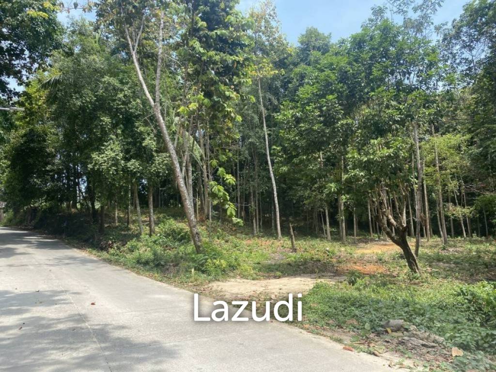 picture Riverside Bliss: 1784 Sqm Land near Elephant Sanctuary, Temple, and Waterfall in Maduwan – A Tranquil Haven with Natures Embrace - 8/11