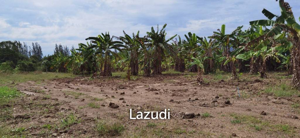 รูป ขายที่ดินสวยในบางเสร่ - รูปที่ 11/11