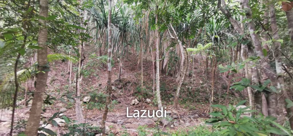 รูป 2,280.0 ตร.ม.ที่ดินสำหรับ ขายใน บ้านใต้ - รูปที่ 11/25